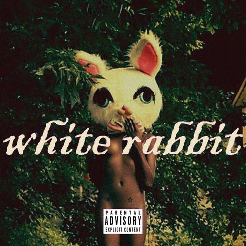 White Rabbit