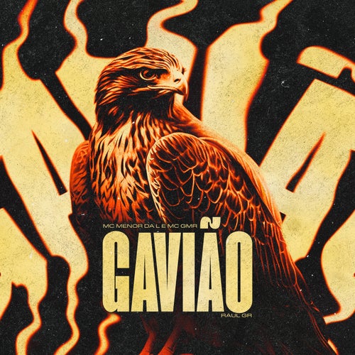 Gavião