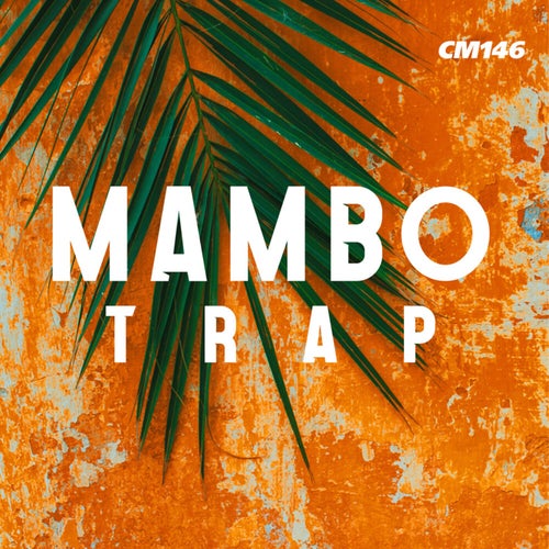 Mambo Trap