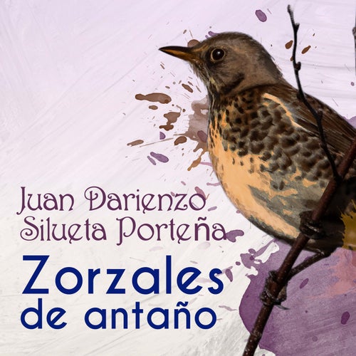 Lorenzo