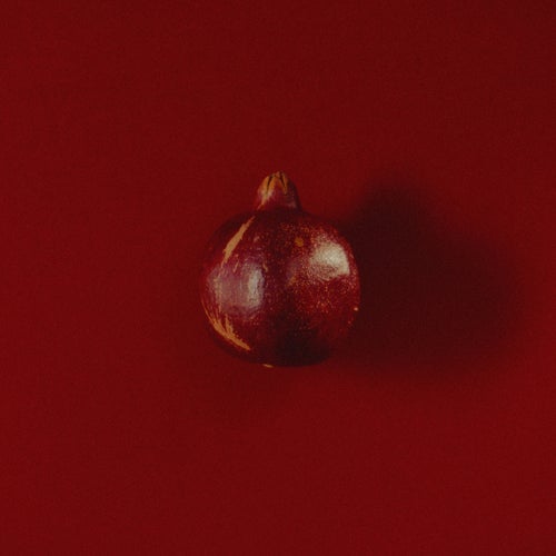 Release of the week