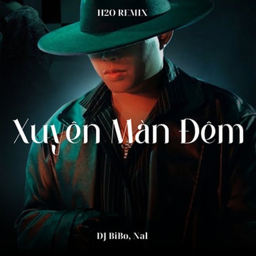 Xuyên Màn Đêm (DJ Bibo Remix)