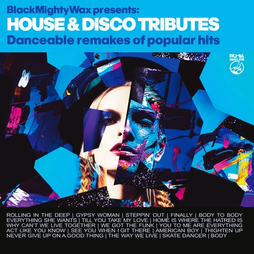 House & Disco Tributes (Black Mighty Wax presents Danceable Remakes of Popular Hits)