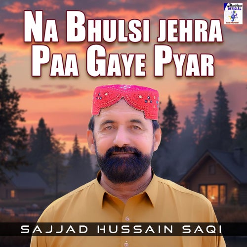 Na Bhulsi Jehra Paa Gaye Pyar
