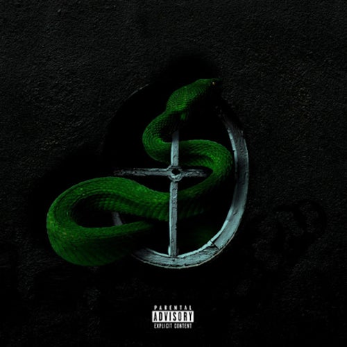Neighborhood Snake