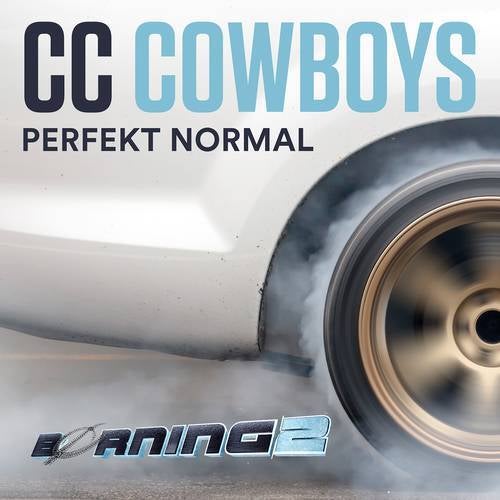 Perfekt normal