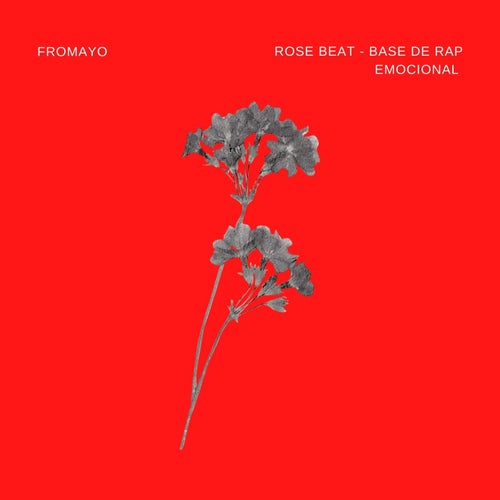 Release of the week