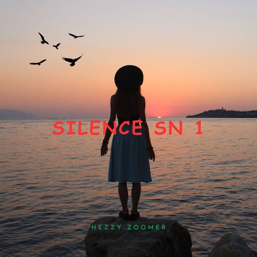 Silence SN 1