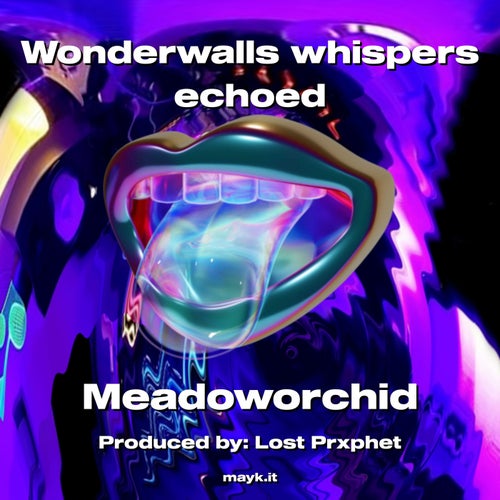 Wonderwalls whispers echoed