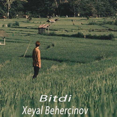 Bitdi