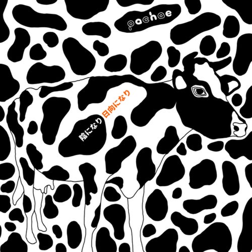 yin - yang