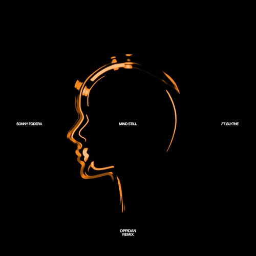Mind Still (feat. blythe) (Oppidan Extended Remix)