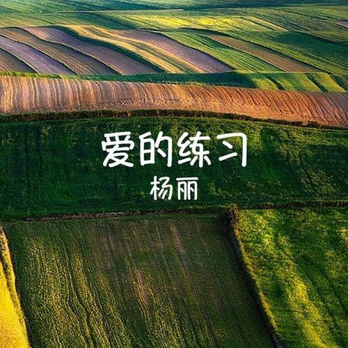 愛的練習