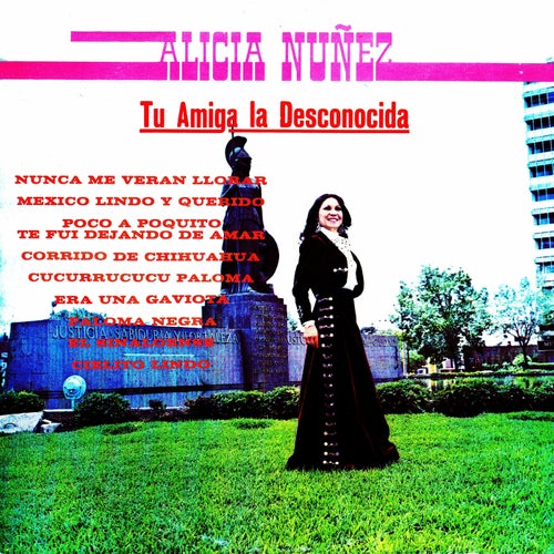 Tu amiga la desconocida