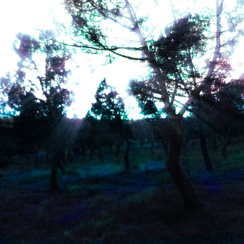 sunarise
