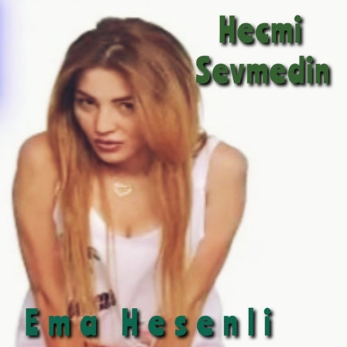 Heçmi Sevmedin