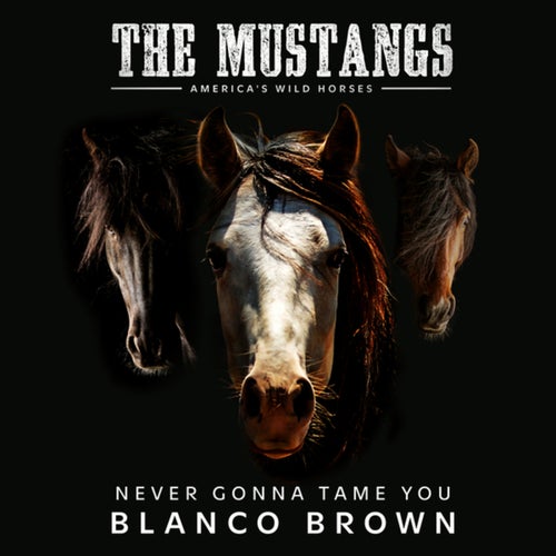Never Gonna Tame You (Original Song from "The Mustangs: America's Wild Horses")