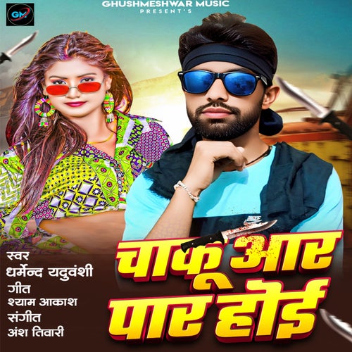Chaku Aar Paar Hoi