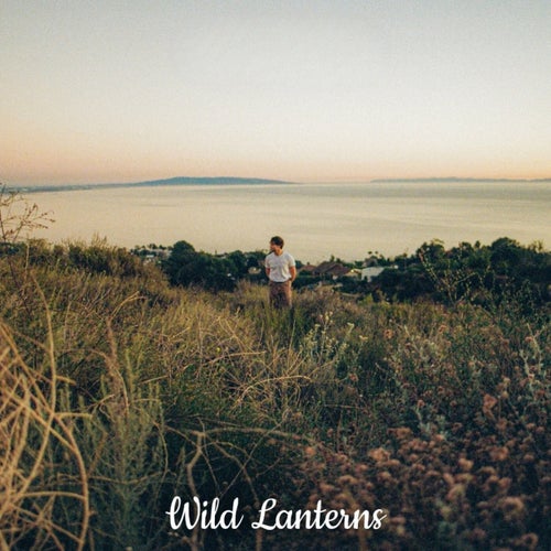 Wild Lanterns