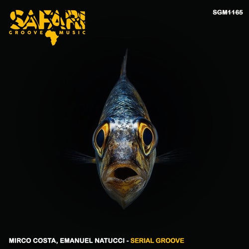 Serial Groove