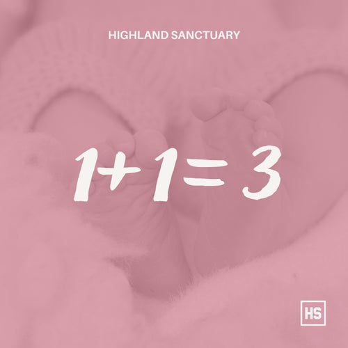 1+1=3
