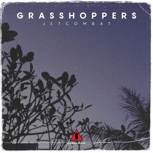 Release of the week