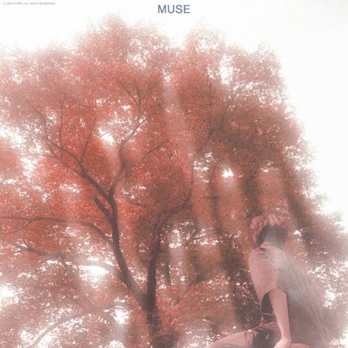 Muse