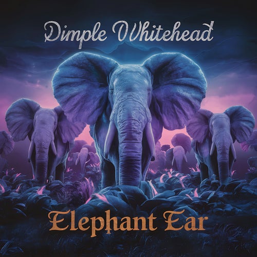 Elephant Ear