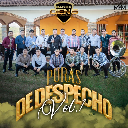 Puras De Despecho, Vol.1