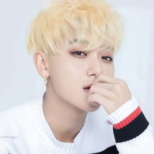 Z.TAO Profile