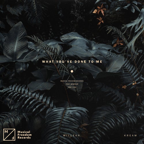 What You've Done To Me (feat. Bemendé) (Extended Mix)
