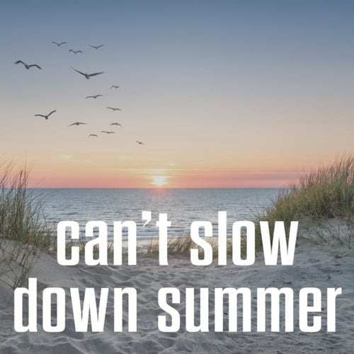 can't slow down summer