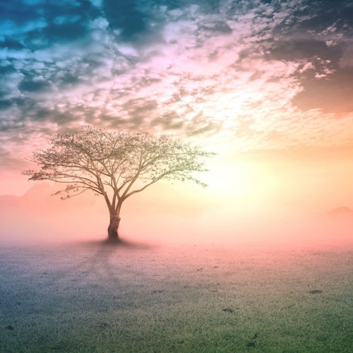 Healing the angel eyes