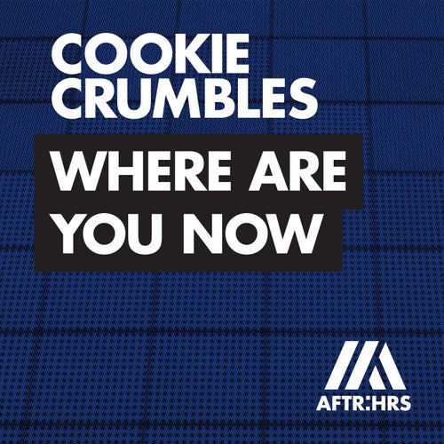 Where Are You Now (Extended Mix)