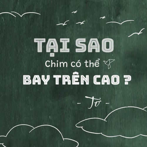 Tại sao chim có thể bay trên cao ?