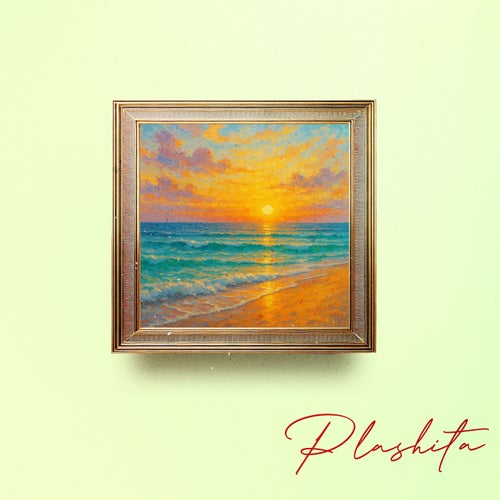 Plashita