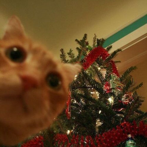 Rockin’ Around the Christmas Tree (Remix)