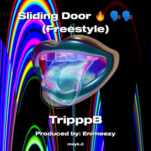 Sliding Door