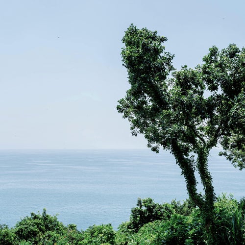 I Miss the Silence With You