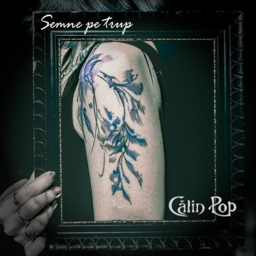 Semne pe trup
