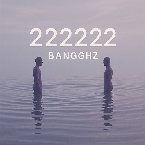 222222