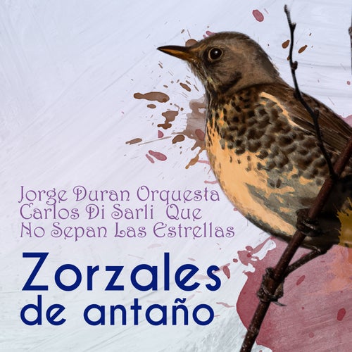 Zorzales de Antaño… Que No Sepan Las Estrellas