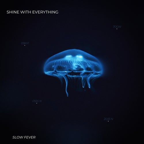 Shine With Everything