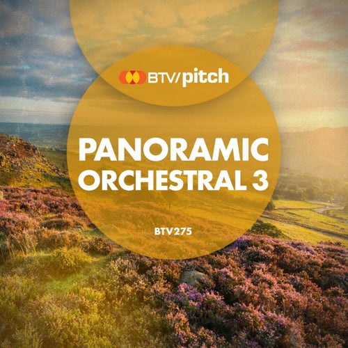 Panoramic Orchestral 3