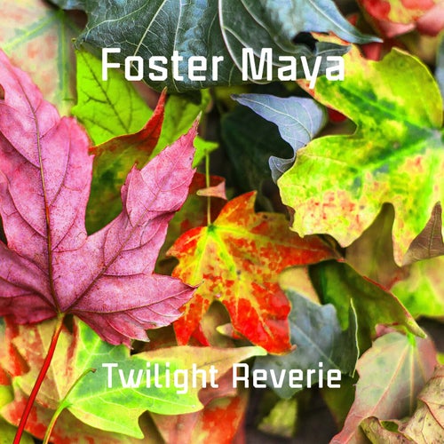 Twilight Reverie