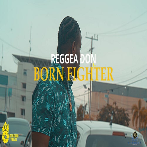 Born Fighter