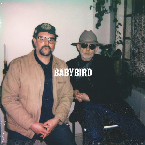 Babybird