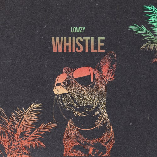 Whistle