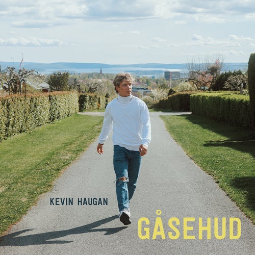 Gåsehud