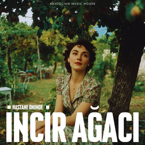Hastane Önünde İncir Ağacı